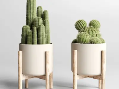 cactus pot  wood vase  collection indoor plant 186  3D model