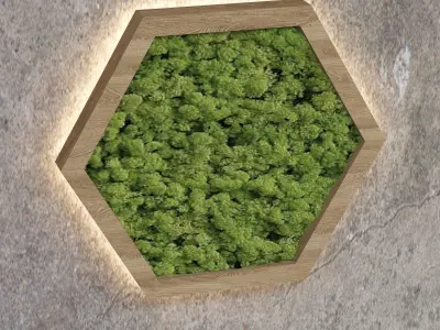 Decorative moss  Low-poly 3D model