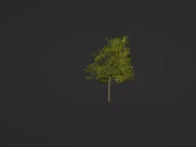 Tree lp Free 3D model