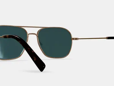Abe Sunglasses in Polished Gold 3D model