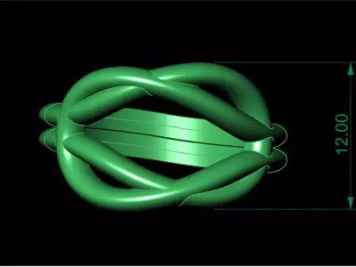 Elegant Intertwined Knot Ring File Item 71 3D print model