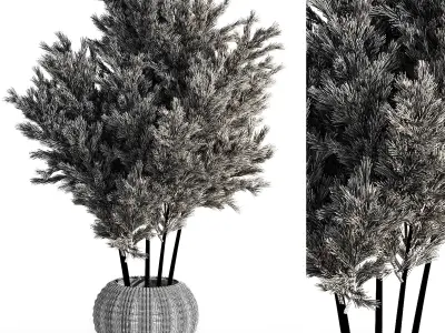 Indoor Plant Set 21 3D model