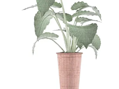 Plants Collection 71 3D model