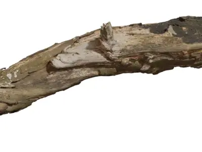 Photoreal Fallen Log  Low-poly 3D model