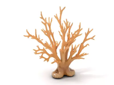Natural Coral Branch model pack Low-poly 3D model
