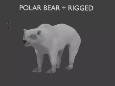 polar bear 3D model