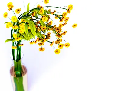 flower for decoration 3D model