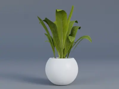 interior plant Low-poly 3D model purchase