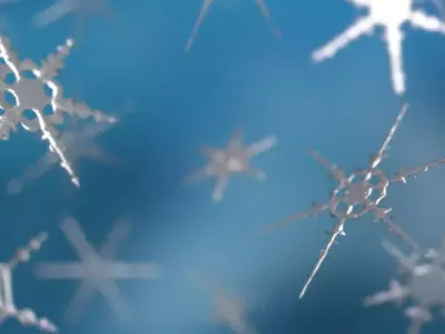 16 Unique Snowflakes Low-poly 3D model