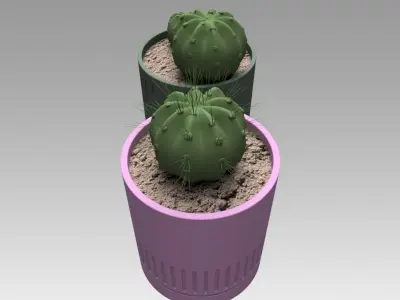 Flowerpot with cactus 3D model