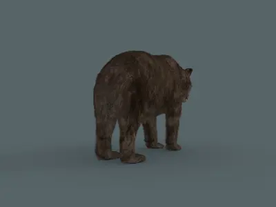 Cave Bear - 3D animated 3D model