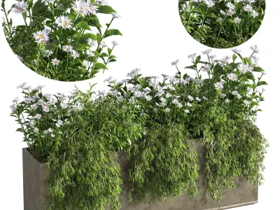 Outdoor Plants tree in Concrete Box 07 3D model