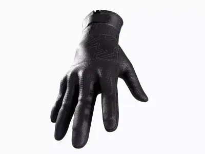 Motorcycle Gloves Low-poly 3D model