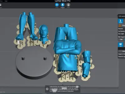  Ronaldinho Gaucho 3D Printable 3D print model