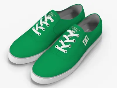 DC Shoes - Flash TX - Fern Low-poly 3D model