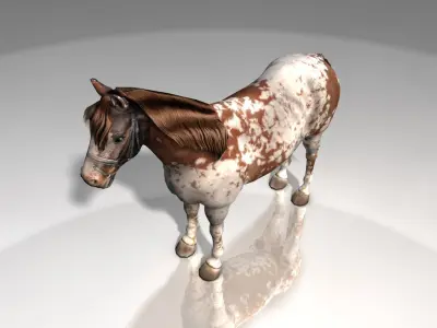 Pinto Horse Low-poly 3D model