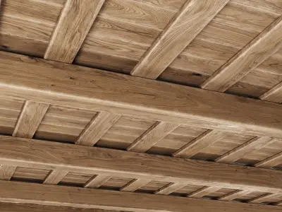 Wooden Ceiling V5  3D model