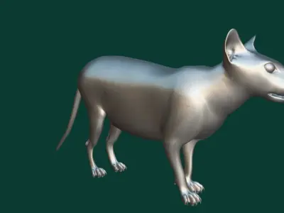 Fossa Animal 3D model