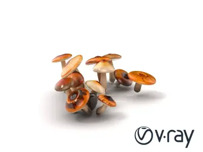 Mushroom Forest Collection model pack Low-poly 3D model
