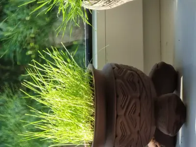 African Flower pot 3D print model