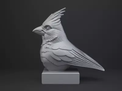 Cardinal Bird Bust - Animal Figurine 3D print model
