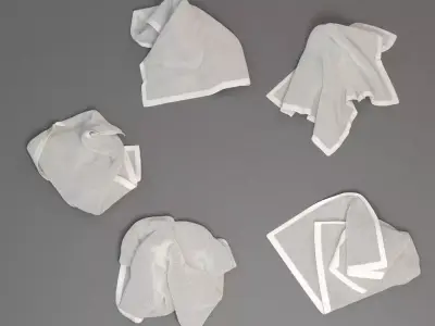 Towel Collection 2 napkin 3D model
