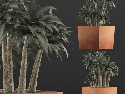 Plants Collection 84 3D model