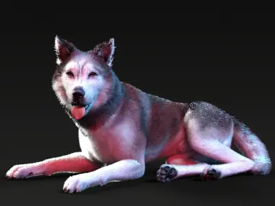 Photo realistic looking Dog Low-poly 3D model