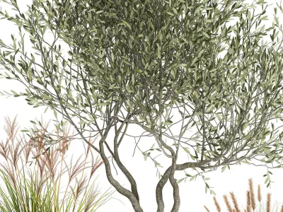 Plants in a black pot for the interior 1052 3D model