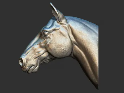 Horse head  3D print model