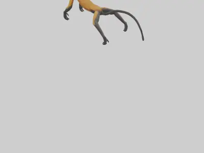 Brocketts Spider Monkey hanging model 3D model