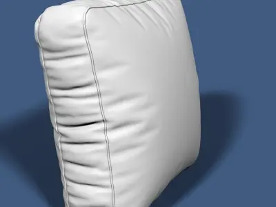 Pillow 60 3D model