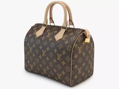 Louis Vuitton Bag 01 3D model