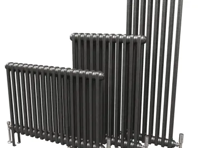 Butler and Rose 2 Column Horizontal Radiator 3D model
