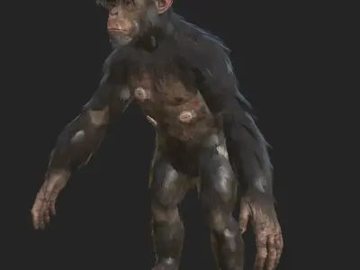 Laboratory Chimp with organ Low-poly 3D model