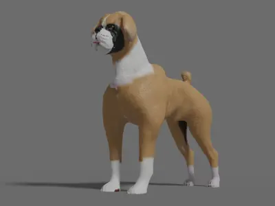 boxer dog Low-poly 3D model