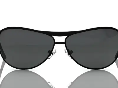 Eyeglasses for Men and Women 3D print model