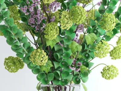 Viburnum plus Moluccella and Cherry blossom  3D model