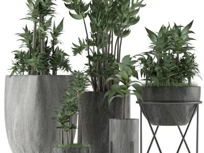 Plants Collection 14 3D model