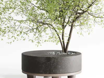 Tree branch in a concrete vase bouquet 27 Low-poly 3D model