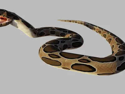 Russel Viper - Low Poly - Game Ready - Rigged Low-poly 3D model