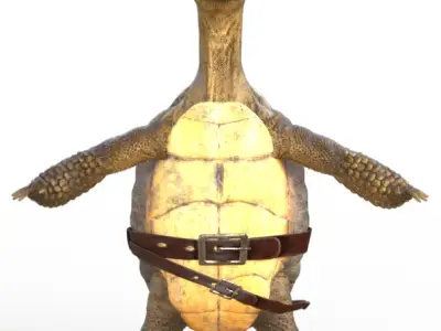 Captain Turtle 3D model