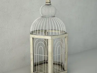 Hexi Decorative Cage by ZARA HOME 3D model