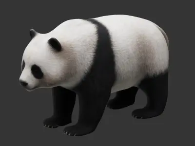 panda Low-poly 3D model