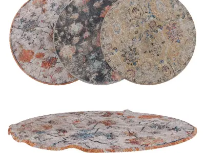 Round Rug Set 41 3D model