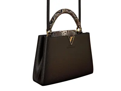 Louis Vuitton bag Capucines Black Snake Leather 3D model