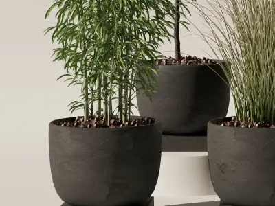 Plants collection 142 3D model