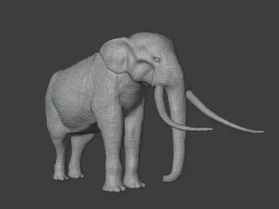 Elephant with long tusks Low-poly 3D model