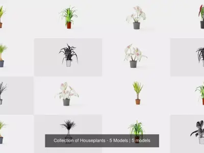Collection of Houseplants - 5 Models