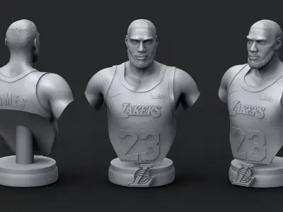 LeBron James 3D Printable 3 3D print model